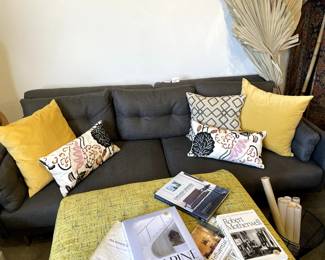 Jonathan Adler sofa, decorative throw pillows, coffee table books, art and design books