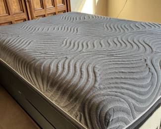 Temperpedic Queen mattress
$400
Headboard