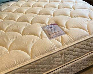 Queen Mattress Set