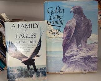 Vintage Illustrated Books About the Eagle