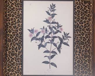 1st of two botanical prints--large and nicely framed