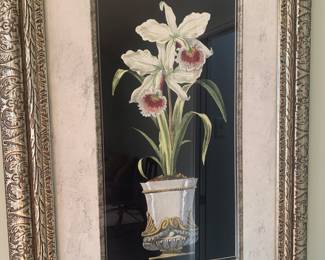 large orchid framed print