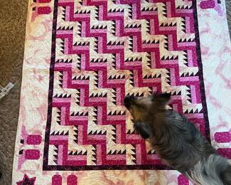 Scout likes this cute Texas boot quilt!
