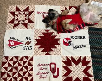 Scout thinks this is one of his favorite quilts!