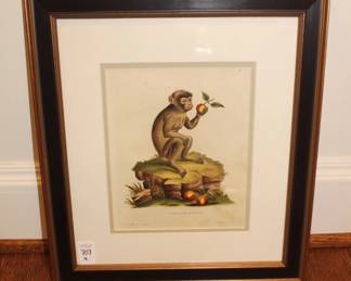 BUY IT NOW! $300.00. Monkeys, Four Hand Colored Engravings, Published Germany 1794. Schreiber, German (18th Century)