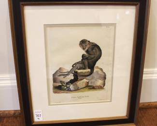 BUY IT NOW! $300.00. Monkeys, Four Hand Colored Engravings, Published Germany 1794. Schreiber, German (18th Century)
