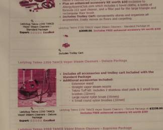 BUY IT NOW! $395.00. Ladybug Tekno 2350 Vapor Steam Cleaner w/accessories.