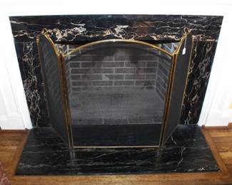 Fireplace screen.