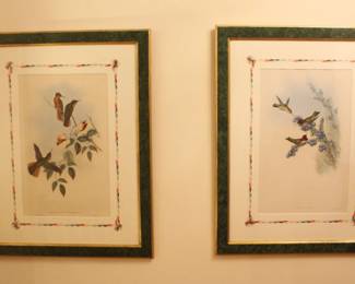 BUY IT NOW! $375.00. Two-John Go Hummingbirds Published London Hand Colored Lithographs, Mat-Four Corner Floral With Connecting Lines.