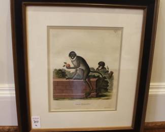 BUY IT NOW! $300.00. Monkeys, Four Hand Colored Engravings, Published Germany 1794. Schreiber, German (18th Century)