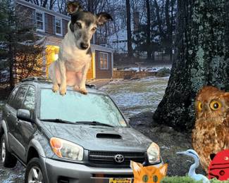 Car is SOLD