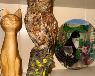 Taxidermy owl I think.. The cat looks proud. Maybe it got it!