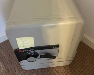 Sentry 1250 safe