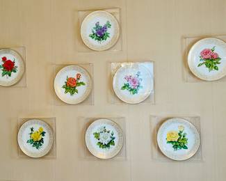 Boehm plates framed in acrylic shadowboxes