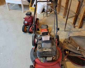 Lawnmower and More