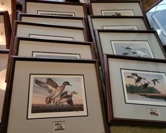 So many duck prints by various artists.