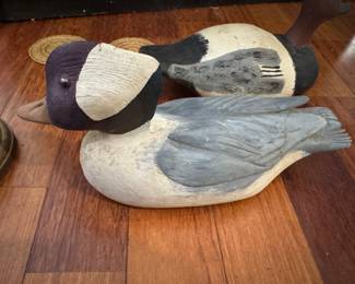Duck decoy