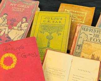 Sampling of some of the vintage and antique books