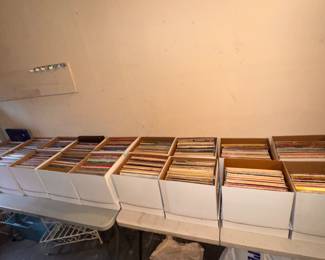 Large Assortment of Albums, All different Kinds of Music