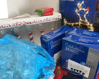 Christmas Indoor And Outdoor Lighting 