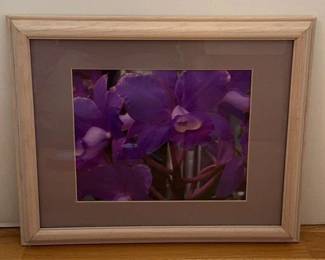 The Purple Flower Framed Print