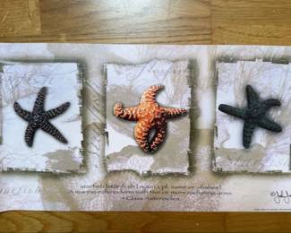 Starfish Print