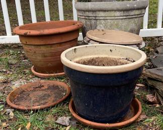 Various Plant Pots Trays