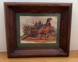 The Bird Framed Picture