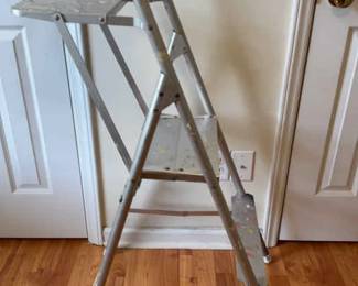 2Step Ladder