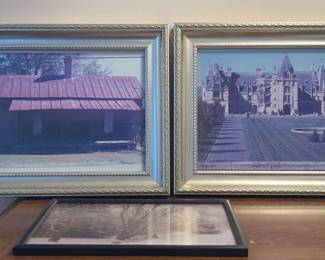 3 Outdoor Scenes Framed