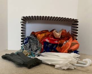 Scarves, 2 Small Umbrellas Gloves