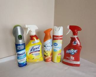 Various Cleaning Supplies.