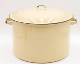 Cast Metal and Enameled Stock Pot with Lid