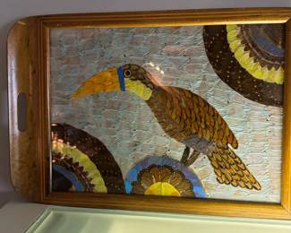 Vintage butterfly wings under glass tray