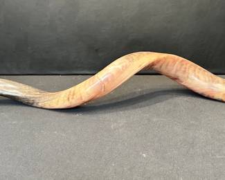 Shofar Kudu Horn