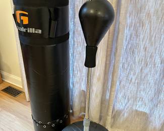 ringside fitness bag with stand