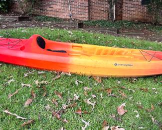Perception Access 9.5 kayak