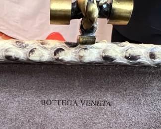 Bottega Veneta Snake Skin Clutch