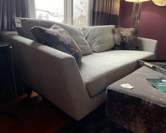 Black alligator skin tray, Thayer Coggin grey velvet ottoman, Modern three-seat sofa
