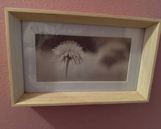 Framed Photograph