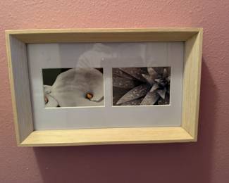 Framed Photograph