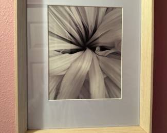 Framed Photograph