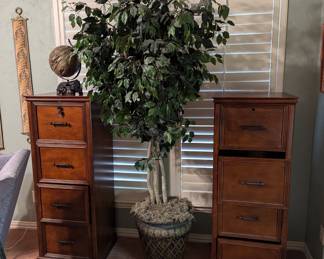 Filing cabinets, Ficus tree