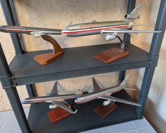 American Airlines models