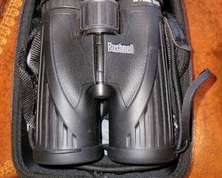 Bushnell