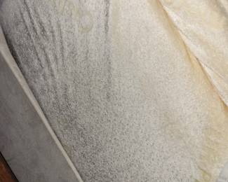 Tempur Pedic Cashmere queen mattress