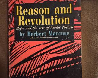 Reasons and Revolution