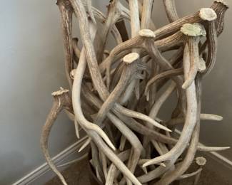 Lots of Deer Antlers 