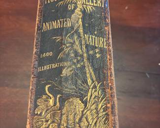 So many antique books!