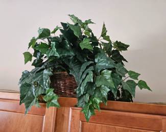 Large silk plants in baskets 
$15 each